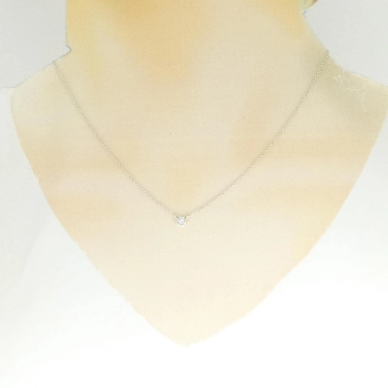 Dây chuyền Tiffany By The Yard - Hàng hiệu Authentic 842254