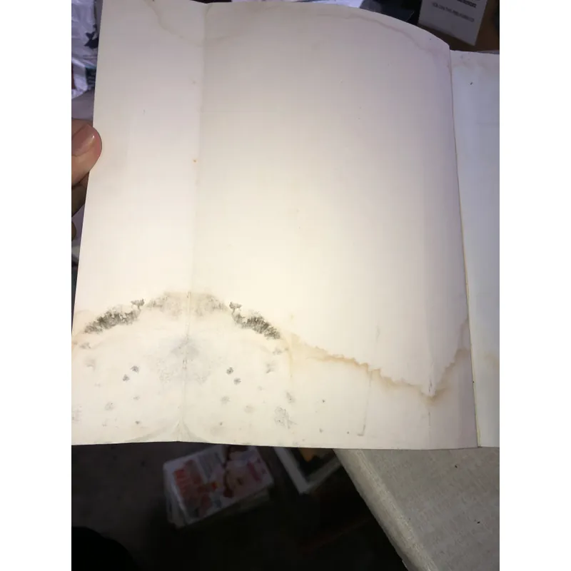 Bill Clinton và Hillary - Con đường vào nhà trắng 698703