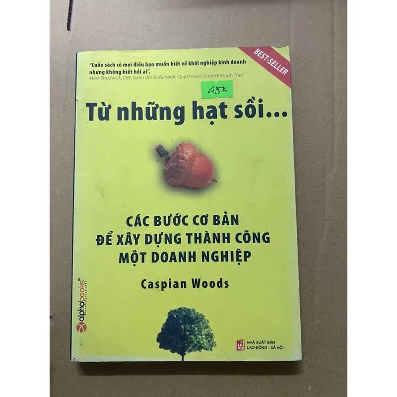 Từ Những Hạt Sồi 602842
