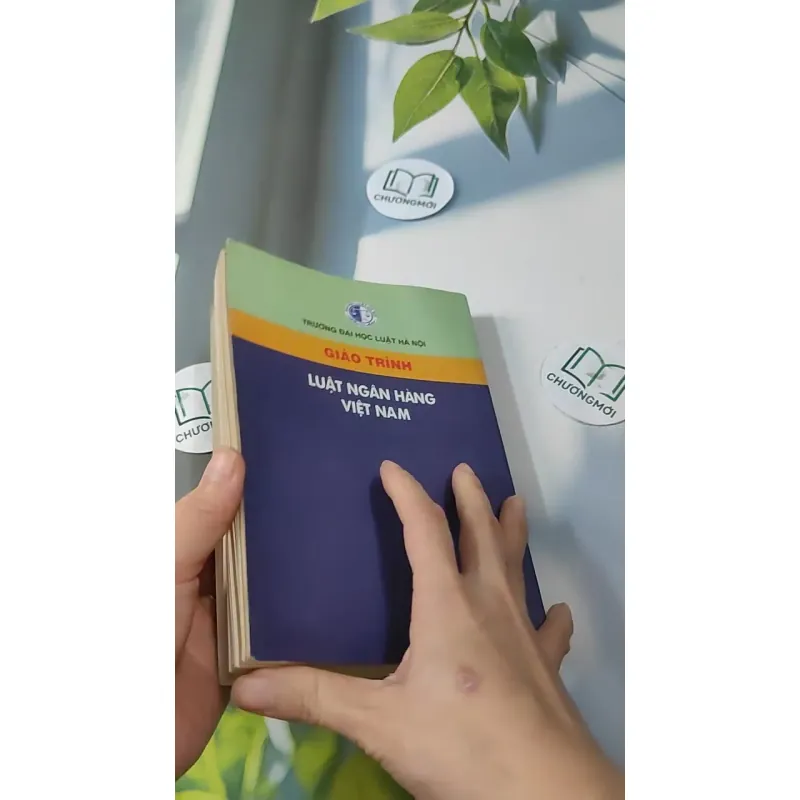 Giáo Trình Luật Ngân Hàng Việt Nam 727229