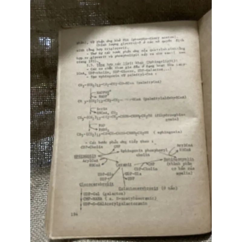 Bài giảng hóa sinh y học - gần 300 trang  799002