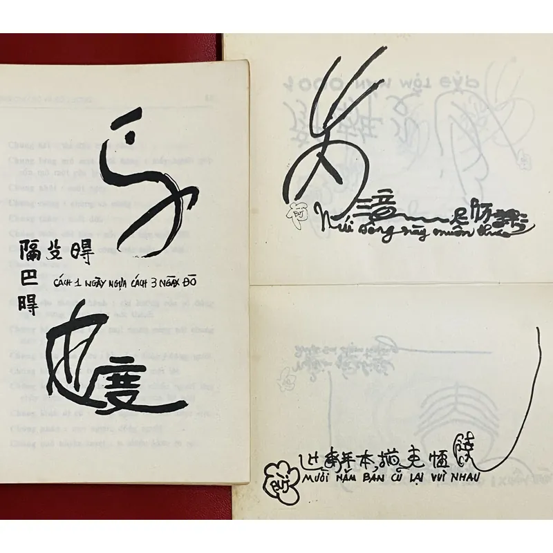 Từ Vựng - Chữ Số - Số Lượng - Bùi Hạnh Cẩn 603364