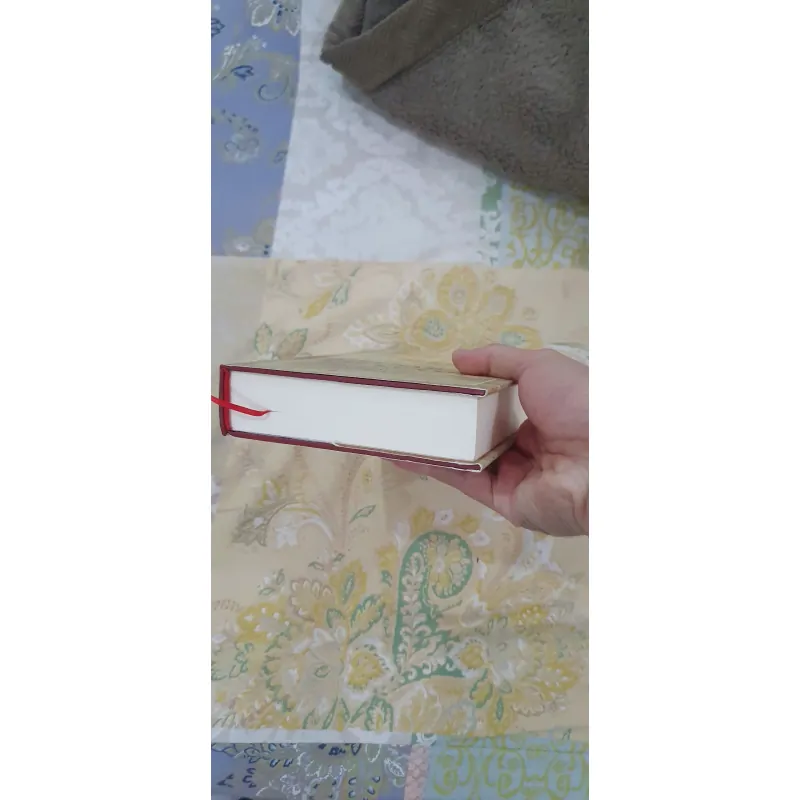 Việt Nam Thế Kỷ XVII (Bìa Cứng), Mới 90% (TrieuL) 976391