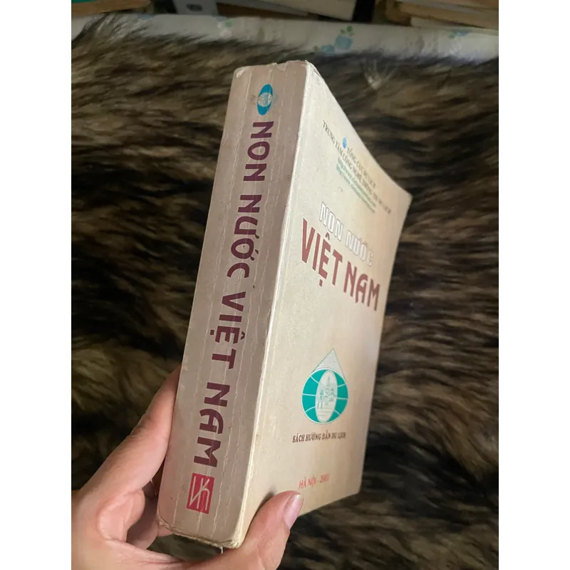 Non nước việt Nam  592982