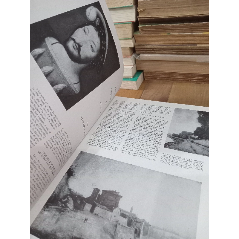 Des arts - Jardin 935021