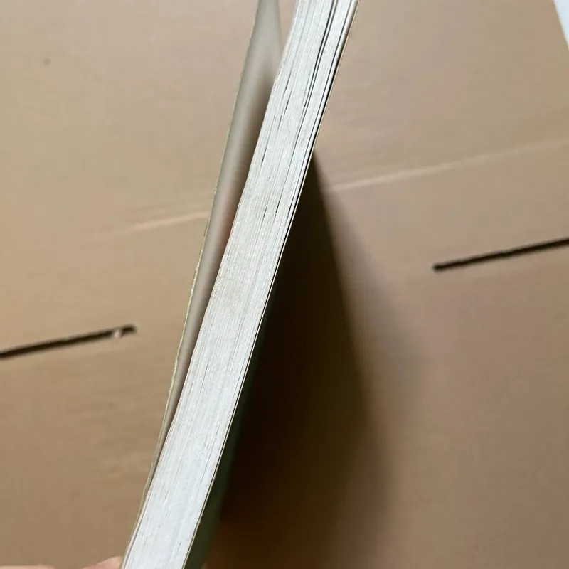 Luật hiến pháp Việt Nam 608189