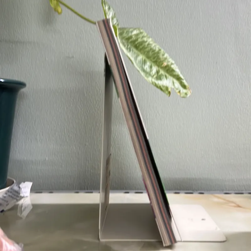 Chiêm tinh học nhập môn - Đinh Trần Tuấn Linh 755607