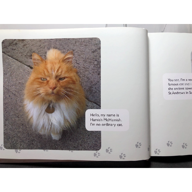 Hamish Mchamish of st andrews cool cat about town mới 90% bìa cứng , bẩn nhẹ Susan McMullan HPB0709 NGOẠI VĂN 458452