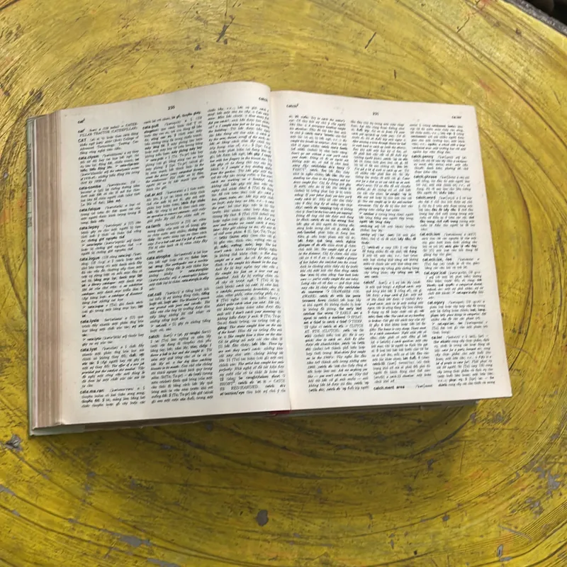 ĐẠI TỪ ĐIỂN ANH - VIỆT ENGLISH- VIETNAMESE DICTIONARY  702741