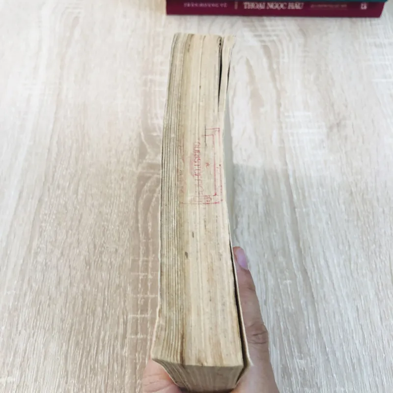 KHẢO SÁT VĂN HÓA TRUYỀN THỐNG LIỄU ĐÔI 925780