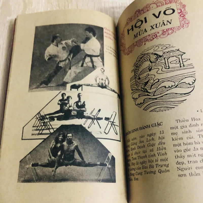 TÌM HIỂU VÕ THUẬT HỘI VÕ MÙA XUÂN  359616