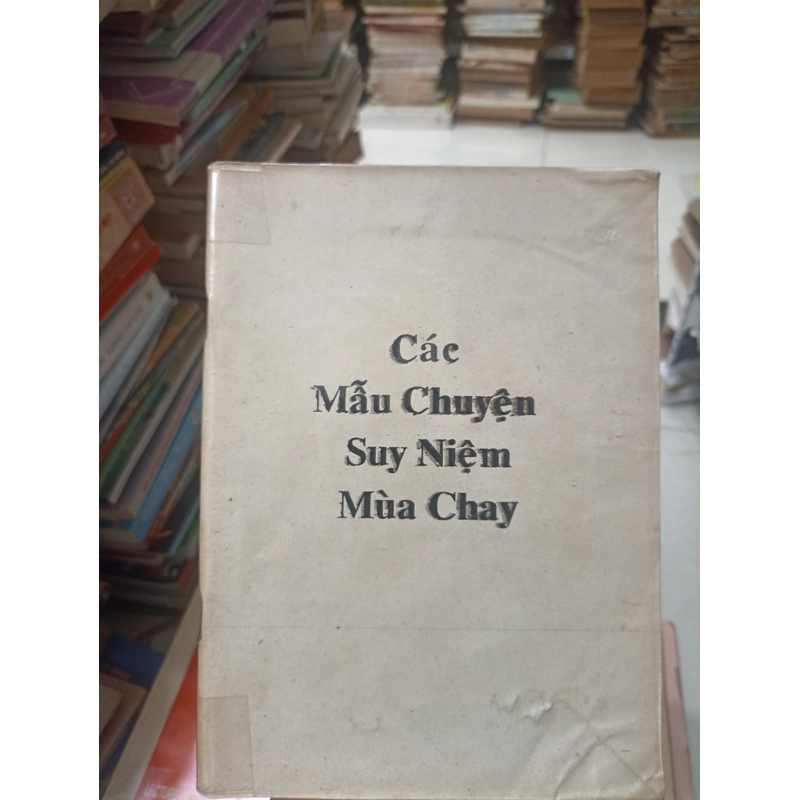 Các Mẫu Chuyện Suy Niệm Mùa Chay 🌻 508494