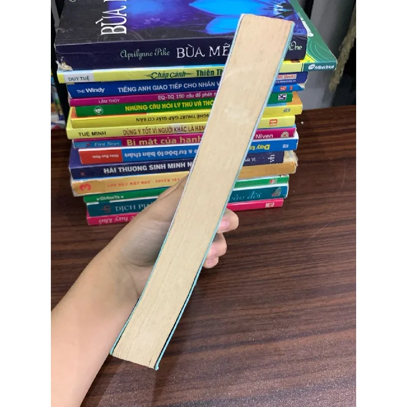 Cởi Trói Linh Hồn – Michael A. Singer 576022