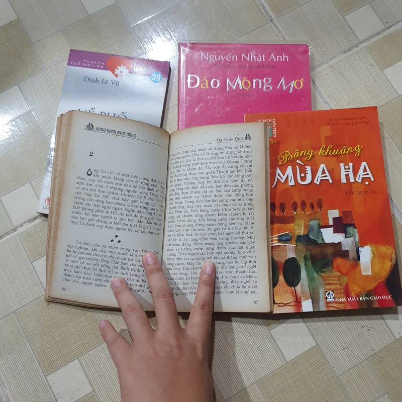 Nguyễn Nhật Ánh Dạ Thảo Linh 301567