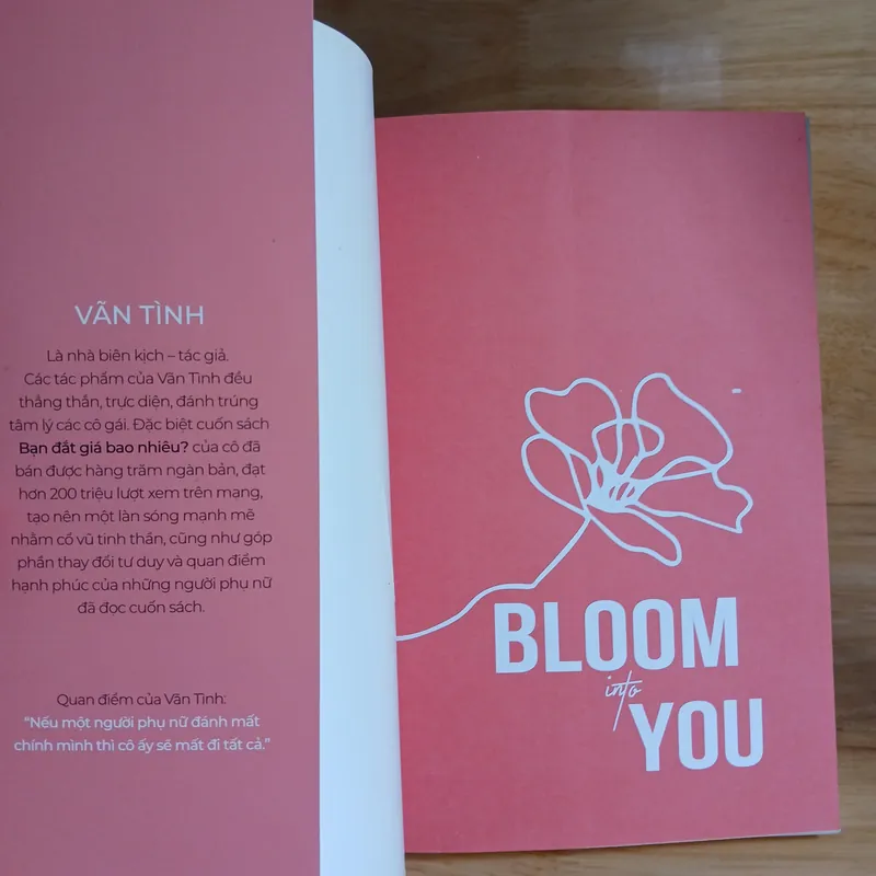 Vãn Tình - Bạn Đắt Giá Bao Nhiêu? 392266