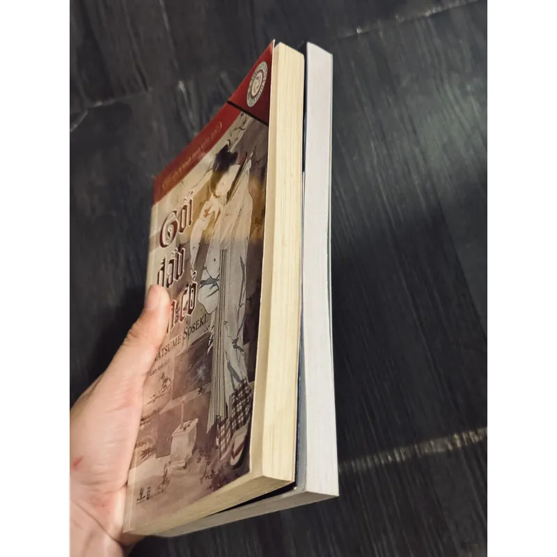 Combo Natsume Soseki 598807