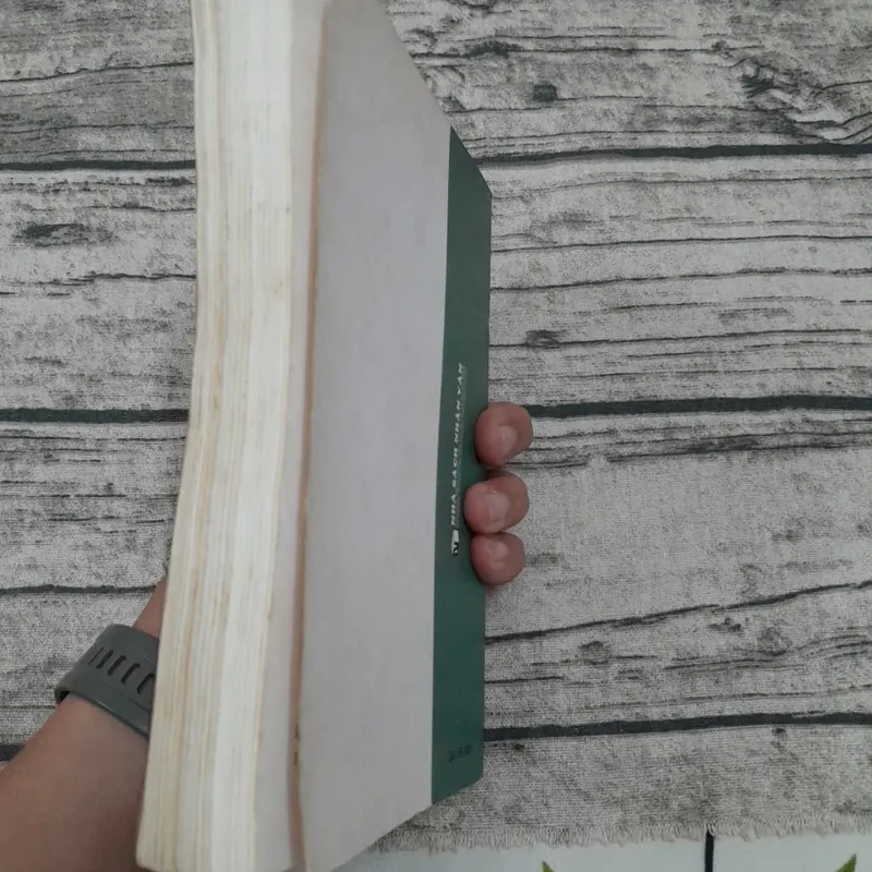 Từ điển chuyên ngành điện Anh Việt. Quang Hùng và nhóm biên soạn 603826