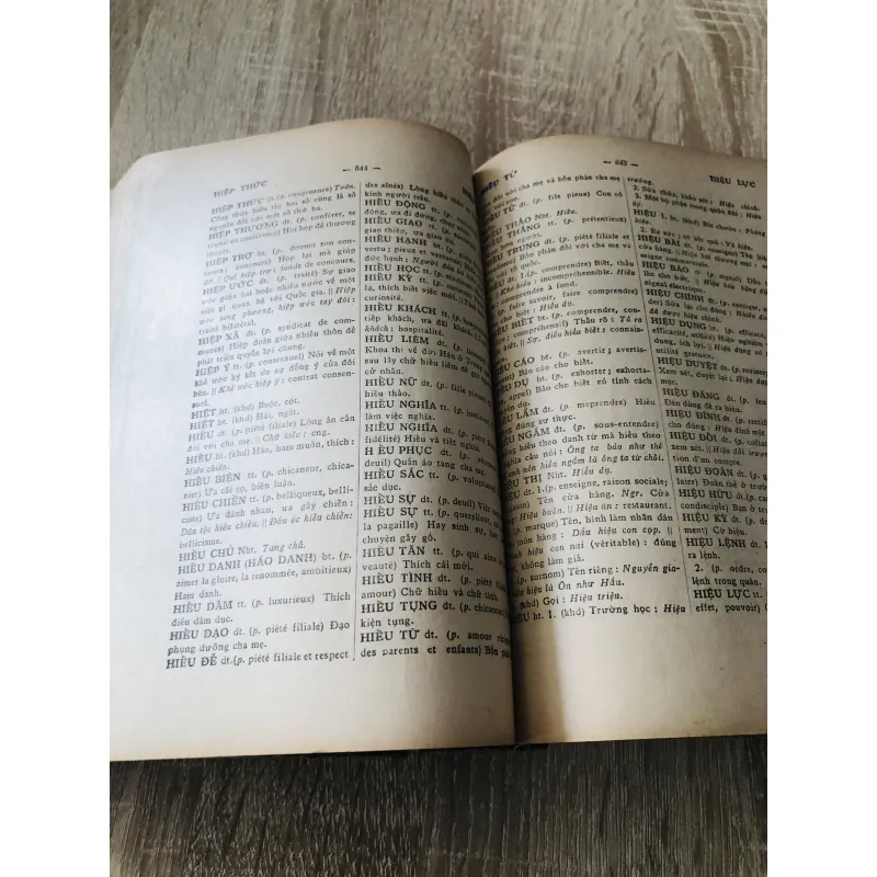 VIỆT NAM TÂN TỰ ĐIỂN 1966 995118