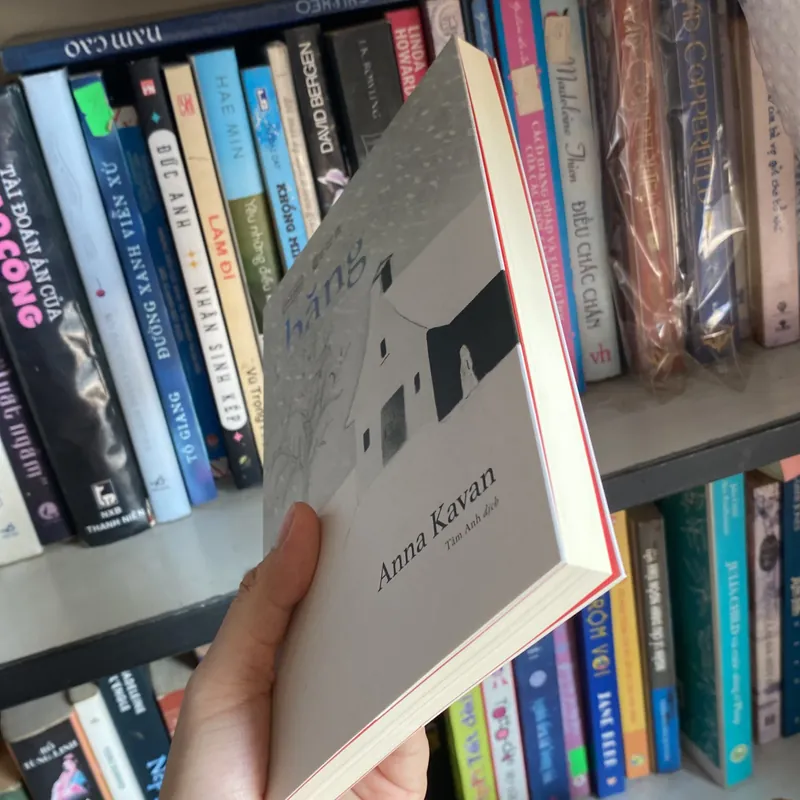 Băng Tao Đàn  734378