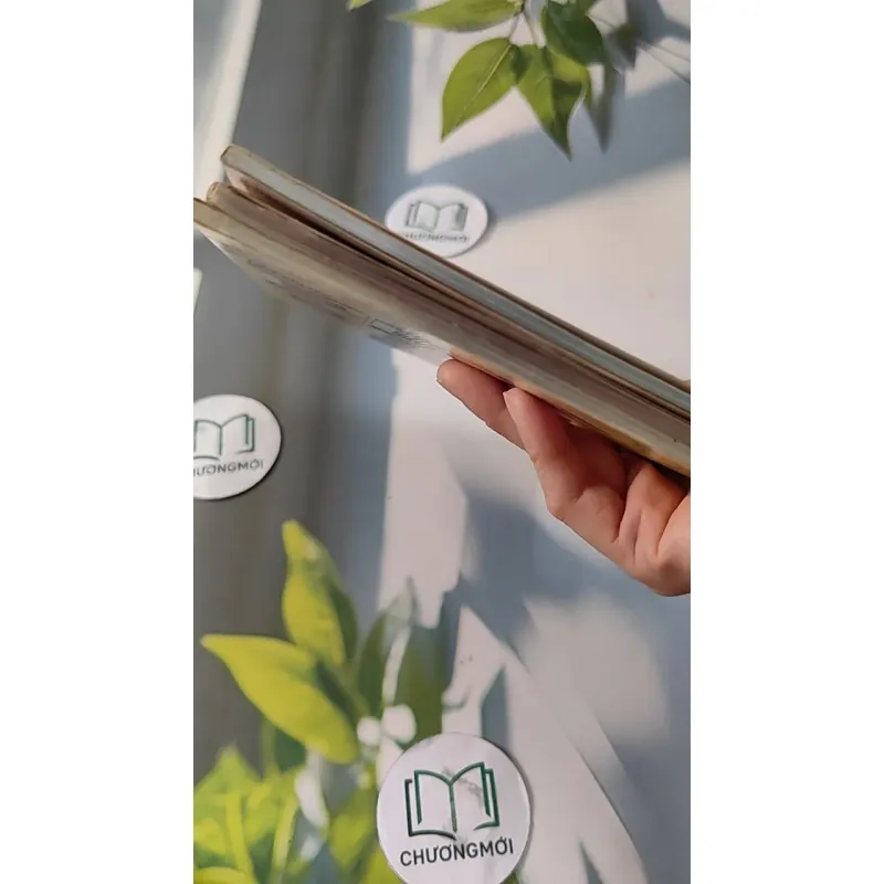 Combo Ẩm Thực: Món Ăn Làm Đẹp, Món Ăn Gia Đình Hiện Đại, Bún - Mì - Cháo - Lẩu 727286