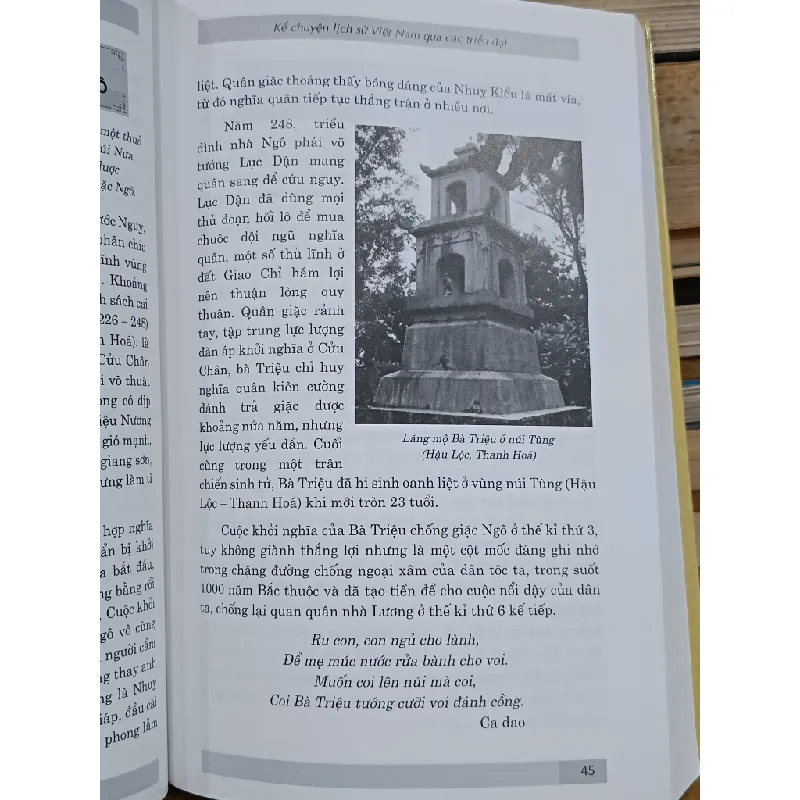 Kể chuyện lịch sử Việt Nam qua các triều đại - Vũ Tam Huề 571623