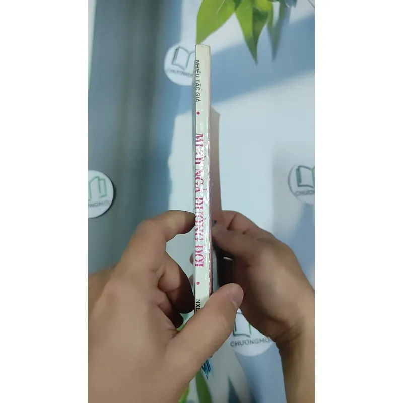 [XƯA] Mười Ngả Đường Đời (1998) 798488