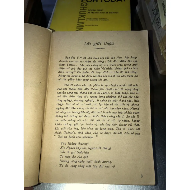 Gabriela Nhành quế và hoa đinh hương - Jorge Amado 928385