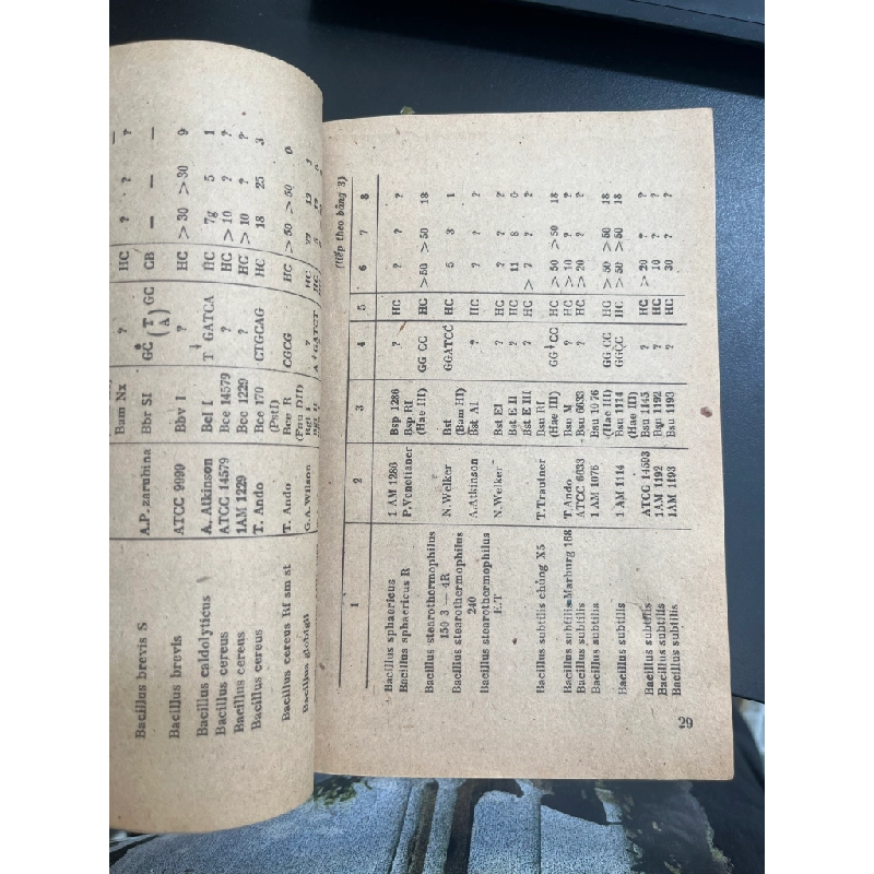 Những hiểu biết mới về Enzim 519519