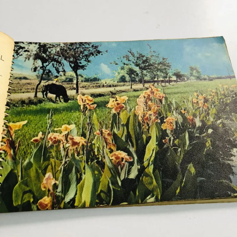 Tập lịch xưa năm 1966 nhiều hình ảnh đẹp  796460