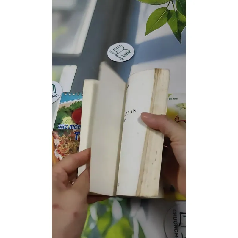 Combo Ẩm Thực: Các Món Hải Sản Kiểu Thái, Các Món Ăn Giúp Bạn Gái Trẻ Đẹp, Lựa Chọn Thực  727325