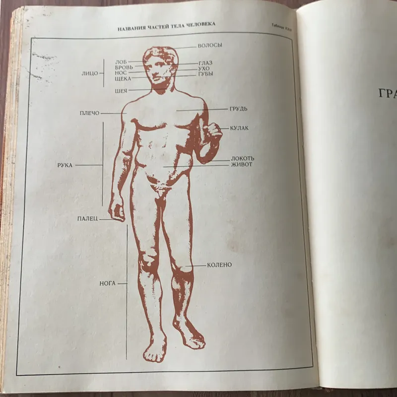4000 từ phổ biến nhất trong tiếng Nga: 4000 НАИБОЛЕЕ УПОТРЕБИТЕЛЬНЫХ СЛОВ РУССКОГО ЯЗЫКА 673853