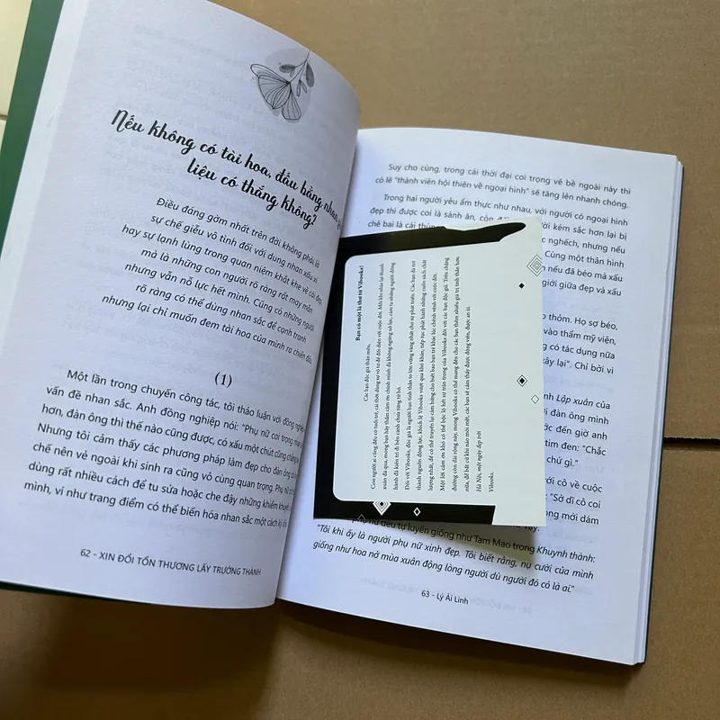 Xin đổi tổn thương lấy tinh thần - Lý Ái Linh 731588