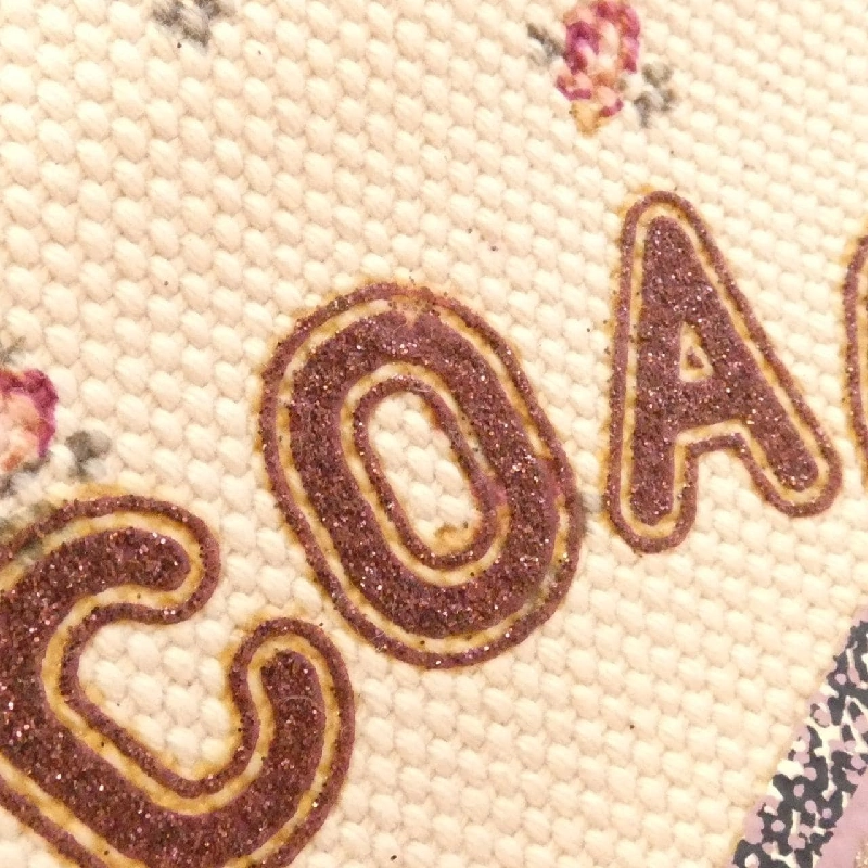 Túi Coach F55598 617832