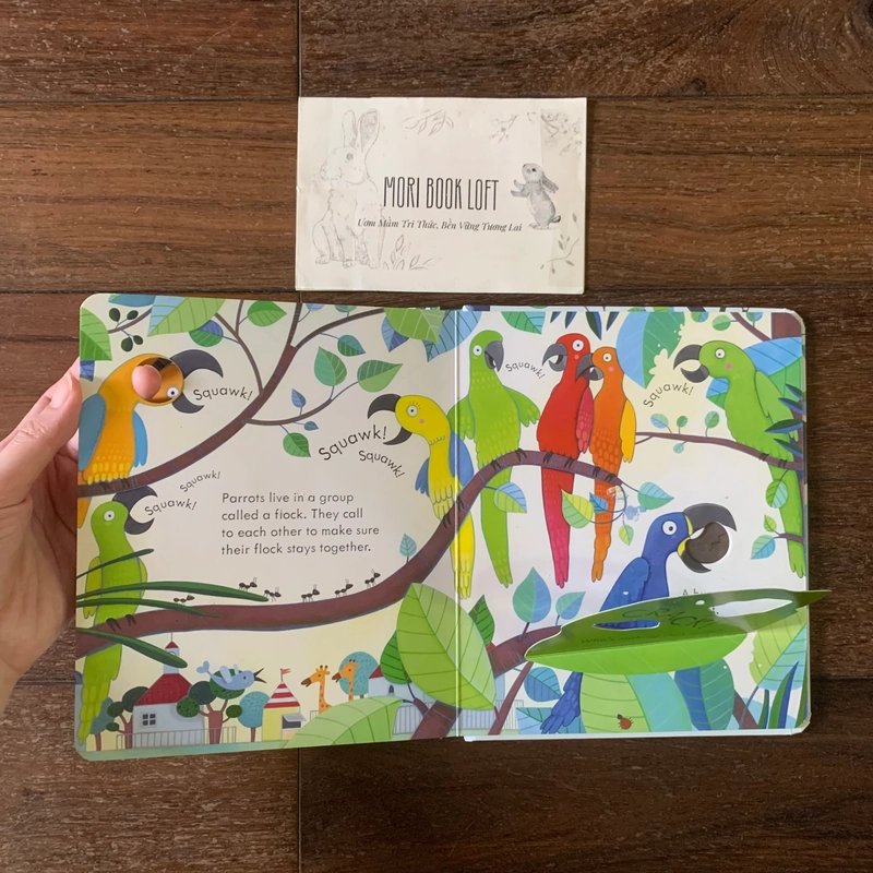 Sách ngoại văn Peep Inside The Zoo – M.ấ.t flap trang 5, Used 540736