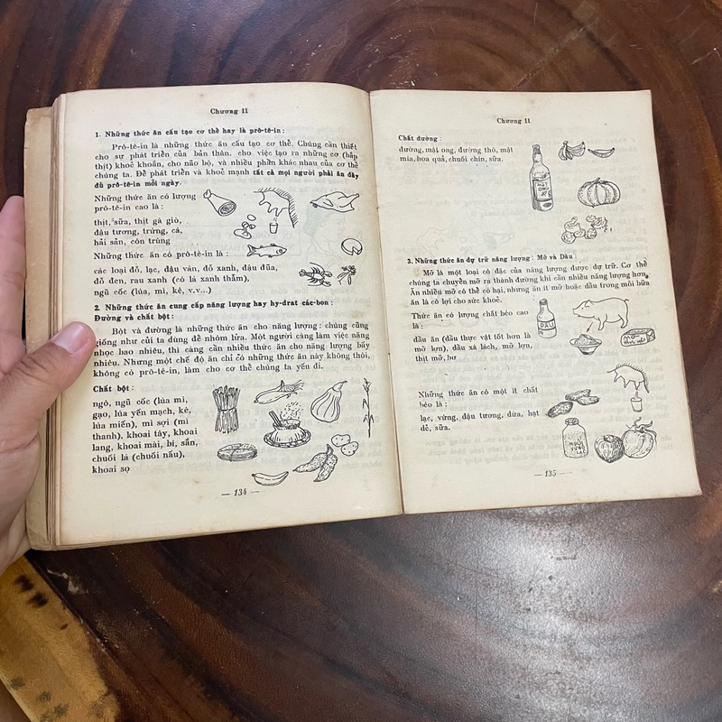 II Tựa sách: Chăm Sóc Sức Khoẻ - DAVID WERNER - 1987 445327