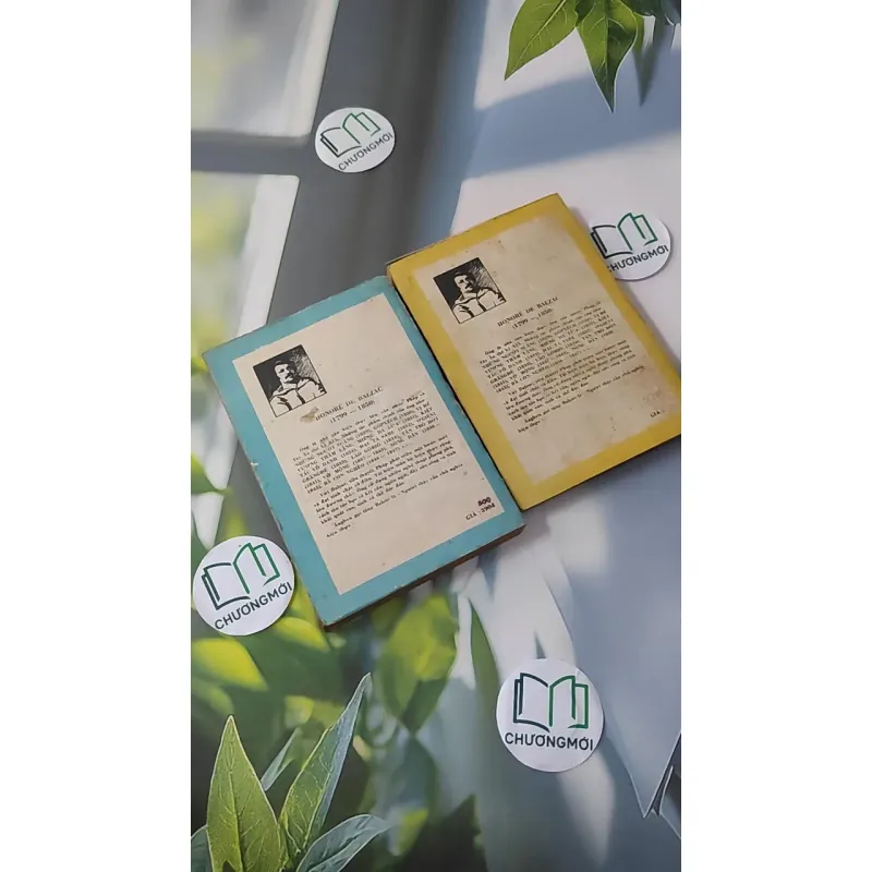 [MIỄN PHÍ BỌC SÁCH] [XƯA] Bộ Dì Bette 1 + 2 (1987) - Honoré de Balzac 997779