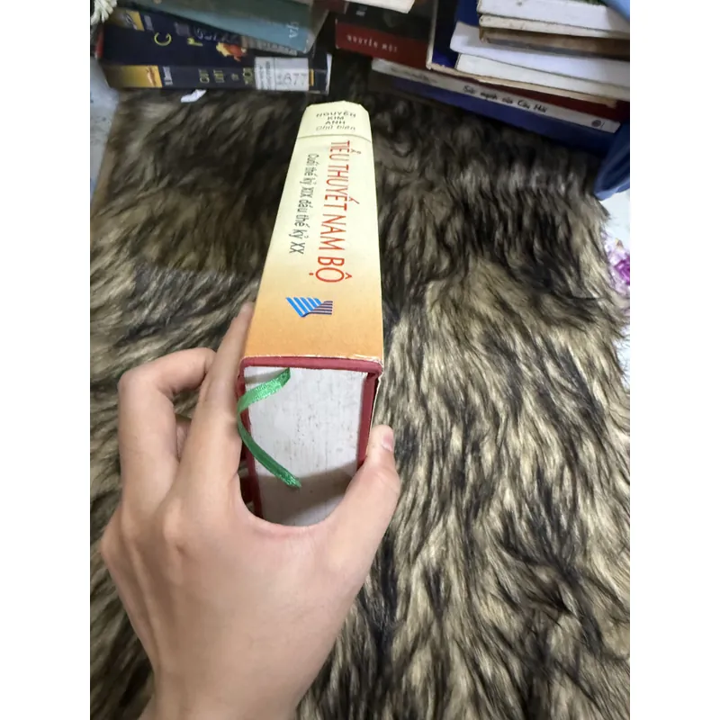 Tiểu thuyết Nam Bộ  599664