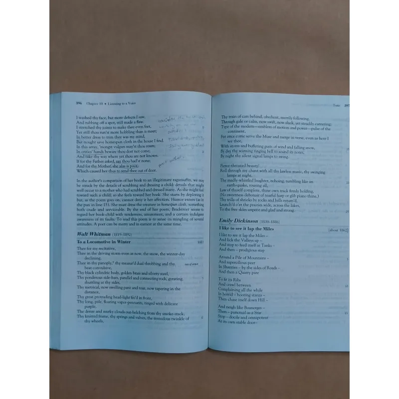 Backpack Literature: An Introduction to Fiction, Poetry, Drama, and Writing 993799