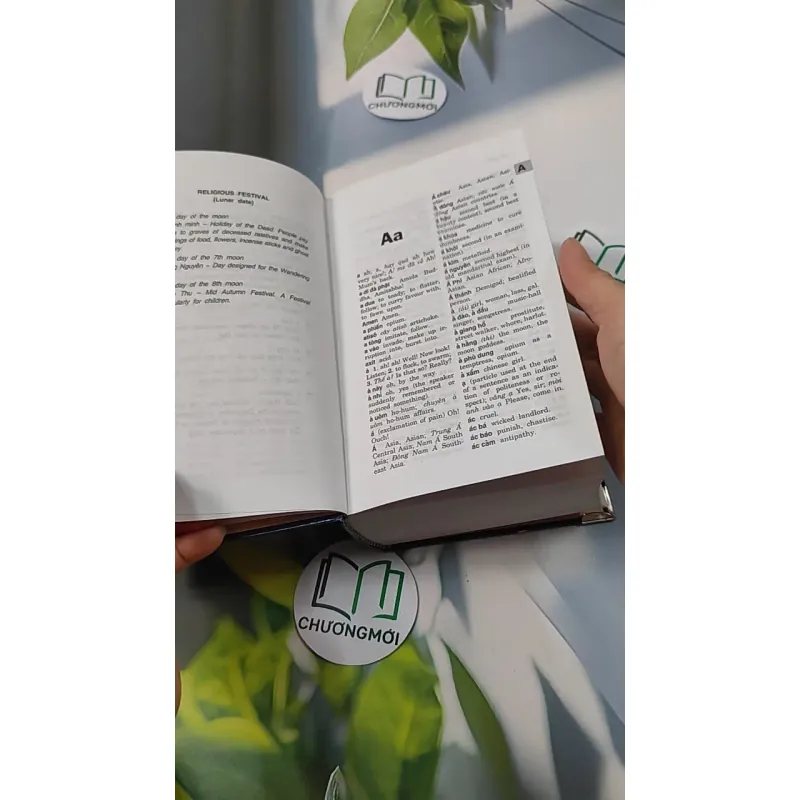 Từ Điển Việt - Anh - Bùi Phụng 749584
