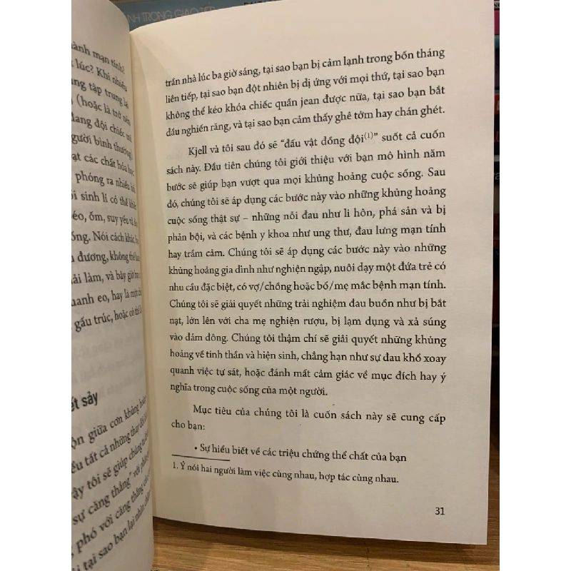 Khi khủng hoảng ập đến -Jennifer Love Kjell Tore Hovik 786081