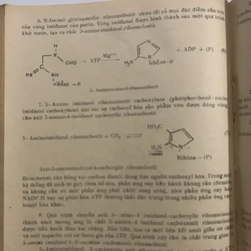 Sinh hoá đại cương, sách khổ to 709156