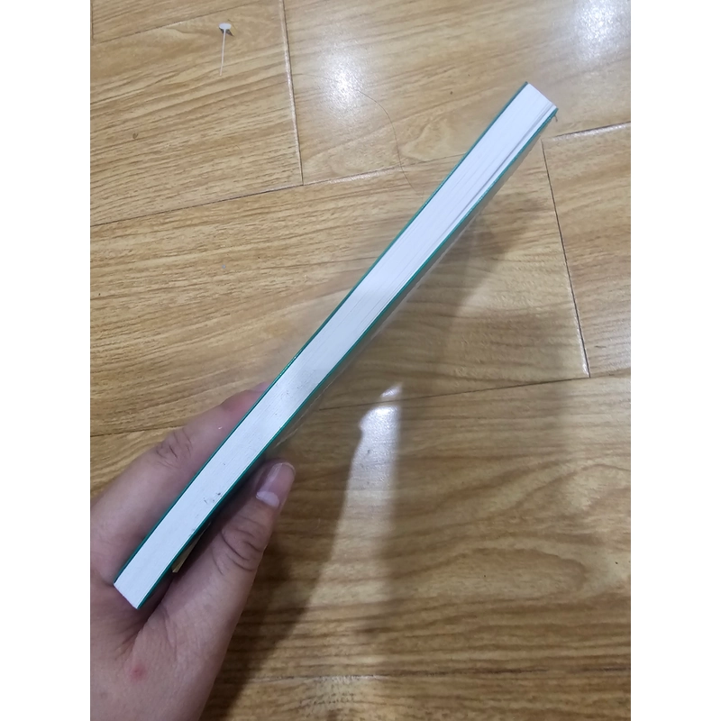 Những nền văn minh của nhân loại 446607