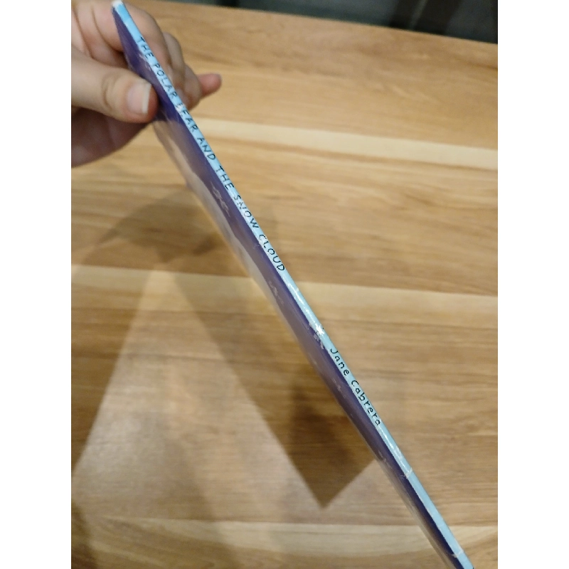 The Polar Bear and the Snow Cloud 973363