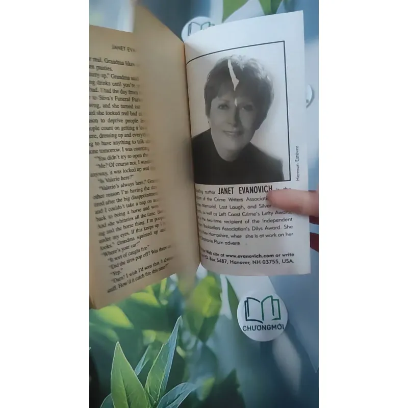 To the Nines - Janet Evanovich 1027216