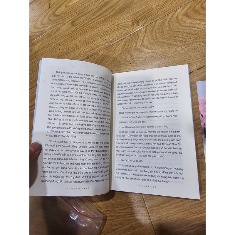 Xuân qua Hạ đến
62k (bìa 125k) 459922