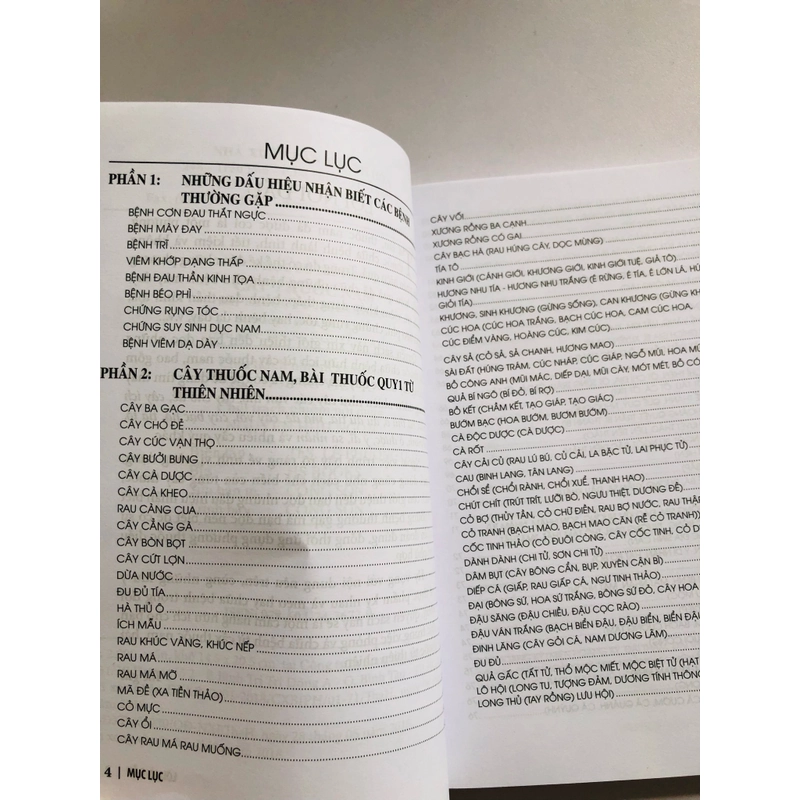 Y Học Cổ Truyền Cây Thuốc Nam Bài thuốc từ thiên nhiên  503470
