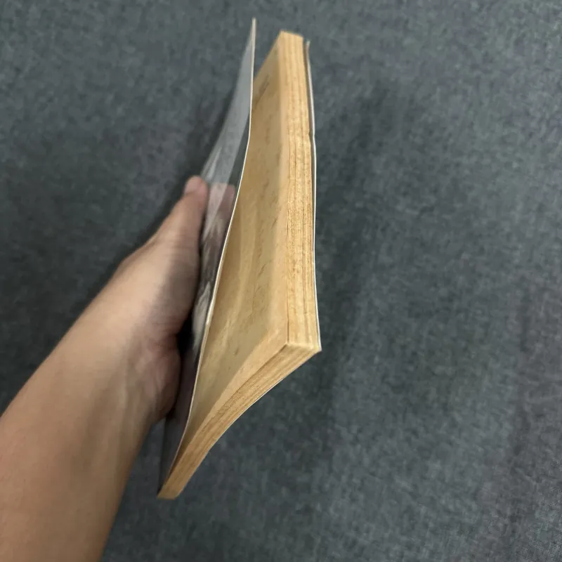 Rabindranath Tagore trong nhà trường - Gs. Lưu Đức Trung 754105