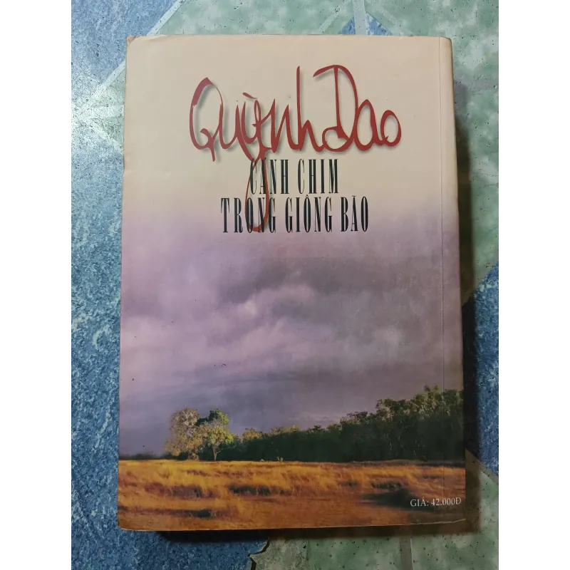 Cánh chim trong giông bão - Quỳnh Dao 975054