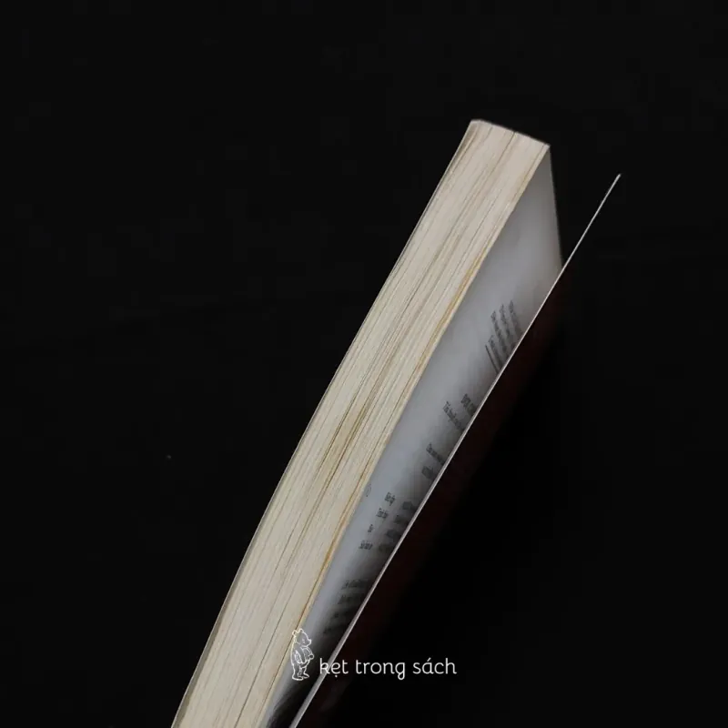 [Sách Cũ] Đợi Chờ - Cáp Kim 593606