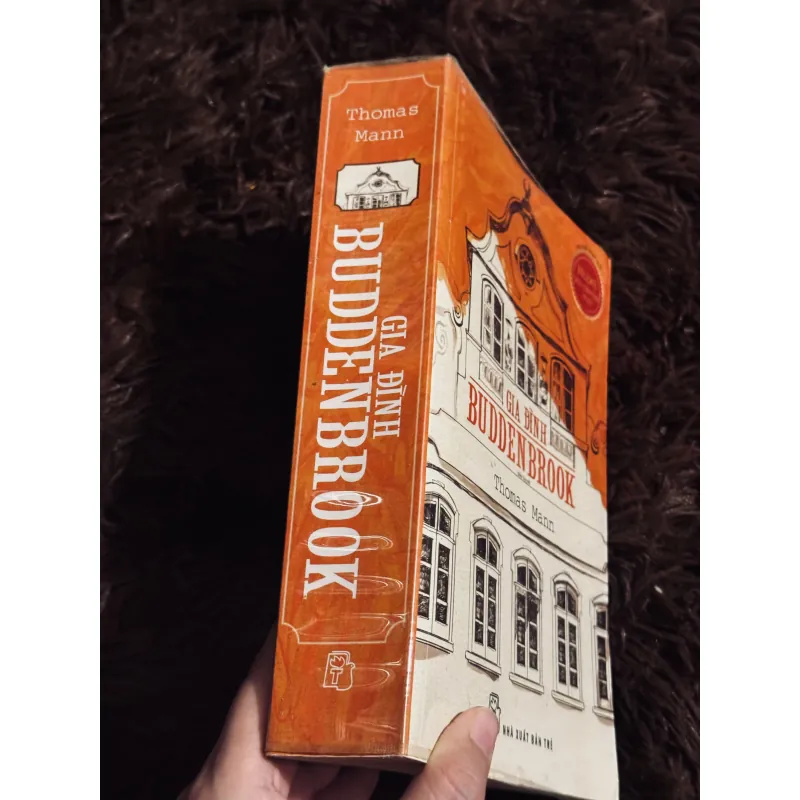 Gia đình Budden Brook 997967